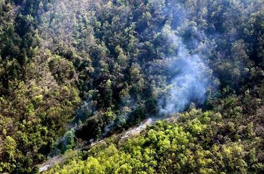 珠海市森林防火视频监控系统招标