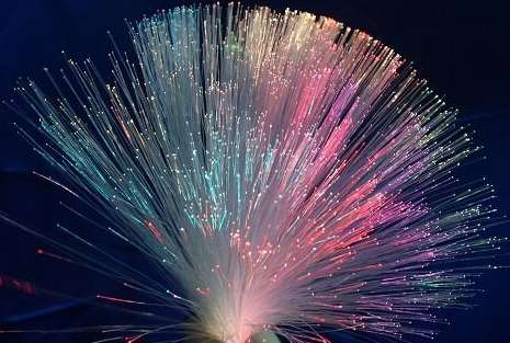 长飞独家中标泉州移动2021-2022年G.655光缆采集项目